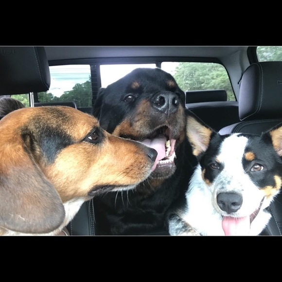 Meet your Posher, Jennifer - Picture 2 of 3